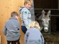 Das Steirerhof-Team beim Vorbereiten des Projektes "Schule am Bauernhof"