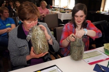 schule-am-bauernhof_002_1338_888