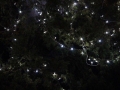 18-adventfenster-steirerhof_022