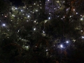 18-adventfenster-steirerhof_041