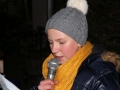 18-adventfenster-steirerhof_108