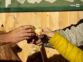 Tirol TV Unterwegs am Steirerhof