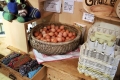 Warum kommt der Osterhase? – Spurensuche bei Berta & Co. am Steirerhof