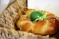 Warum kommt der Osterhase? – Spurensuche bei Berta & Co. am Steirerhof